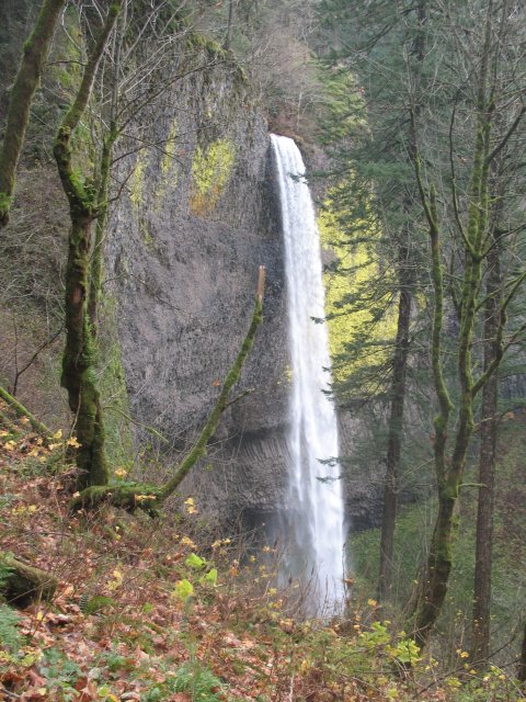 11.18.06 Latourell Falls 058 